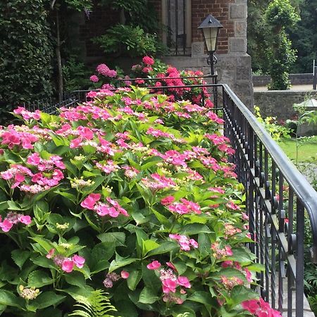La Villa Des Roses Дюрбюї Екстер'єр фото
